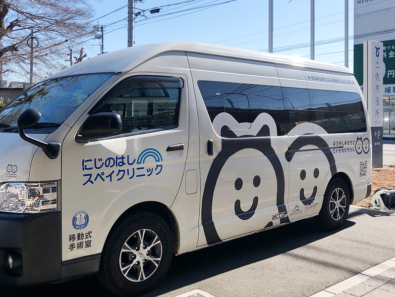 猫の去勢手術