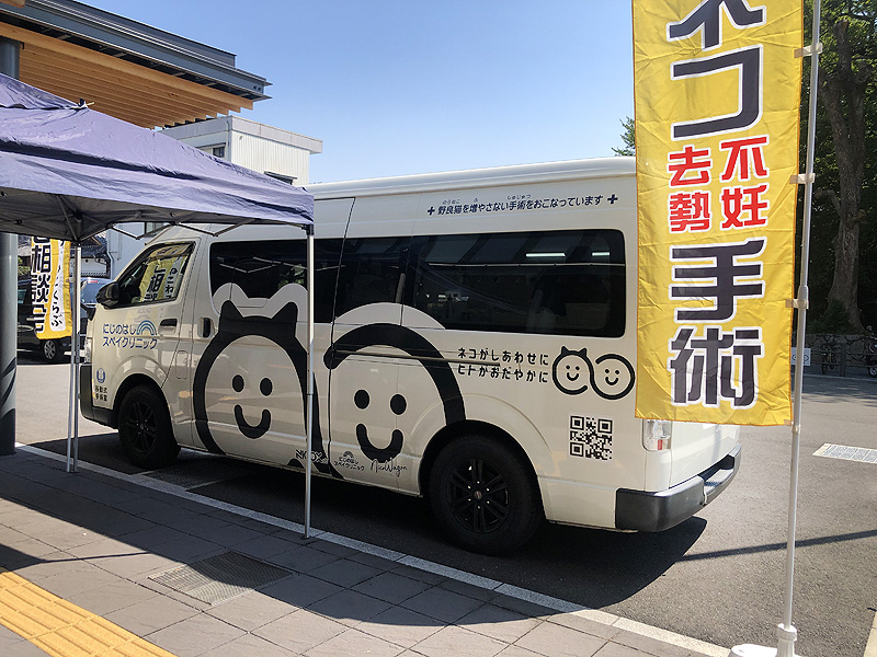 猫の去勢手術